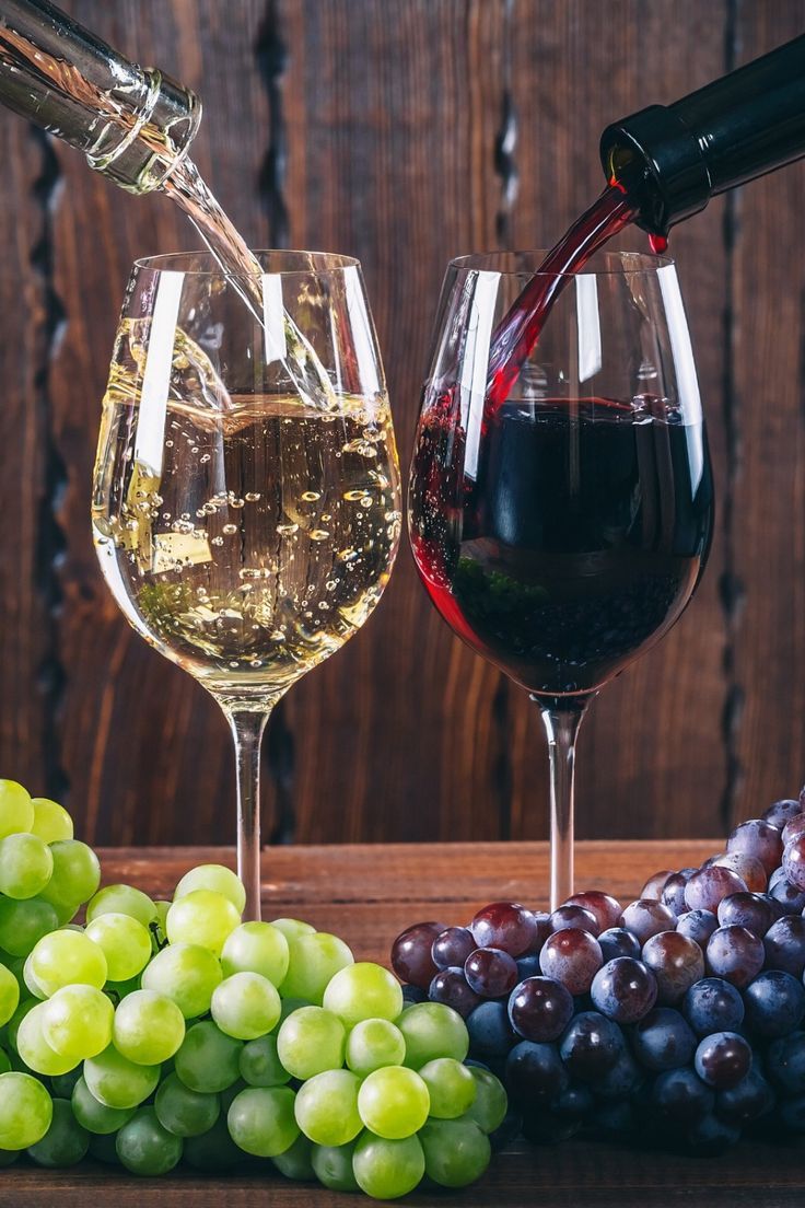 Calabrian Wine Experience in camera